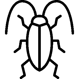cockroach