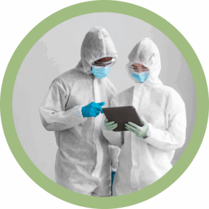 Person doing inspection Désinsectisation en Belgique