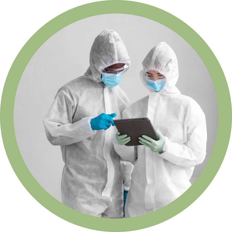 Person doing inspection Désinsectisation en Belgique