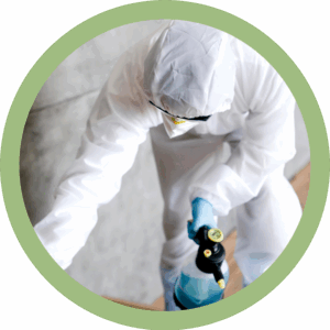 Person doing pest control Désinsectisation en Belgique