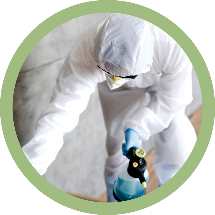 Person doing pest control Désinsectisation en Belgique