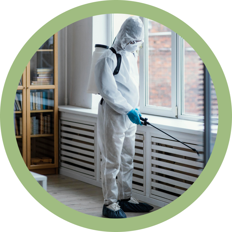 Person doing pest control Désinsectisation
