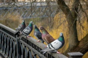 AdobeStock_329761940
