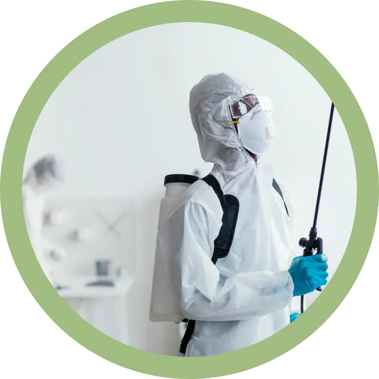 Anti-Nuisibles Belgique