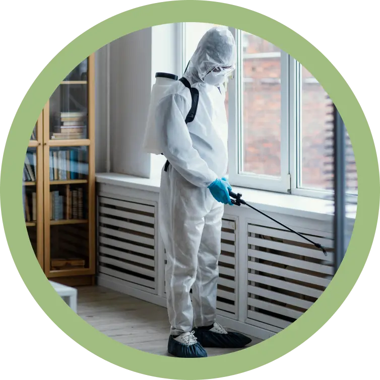 Désinfection Belgique