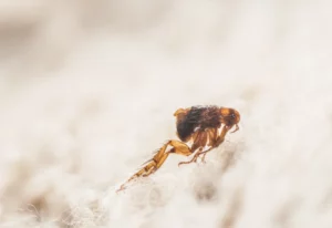 AdobeStock_134739593