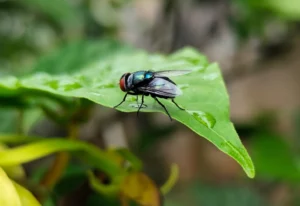 AdobeStock_134739593 (4)