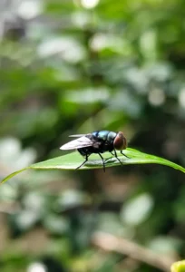 AdobeStock_699651201 (4)
