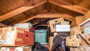 hantavirus En Belgique rongeurs dans un garage