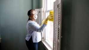 prévention hantavirus En Belgique nettoyage sécurisé masque FFP2